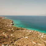 Evimeria קלמאטה